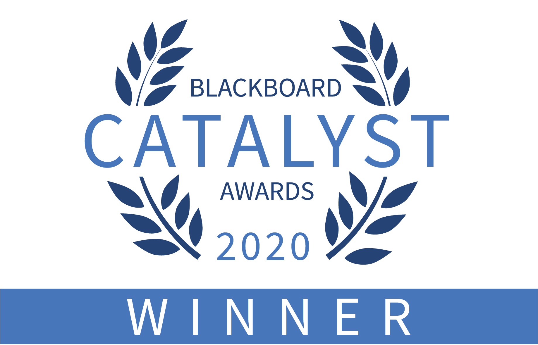 catalyst 2020 winner